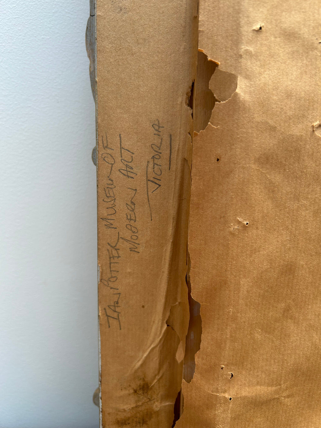 Evelyn M Baxter "Sir Henry Segreaves Roses"