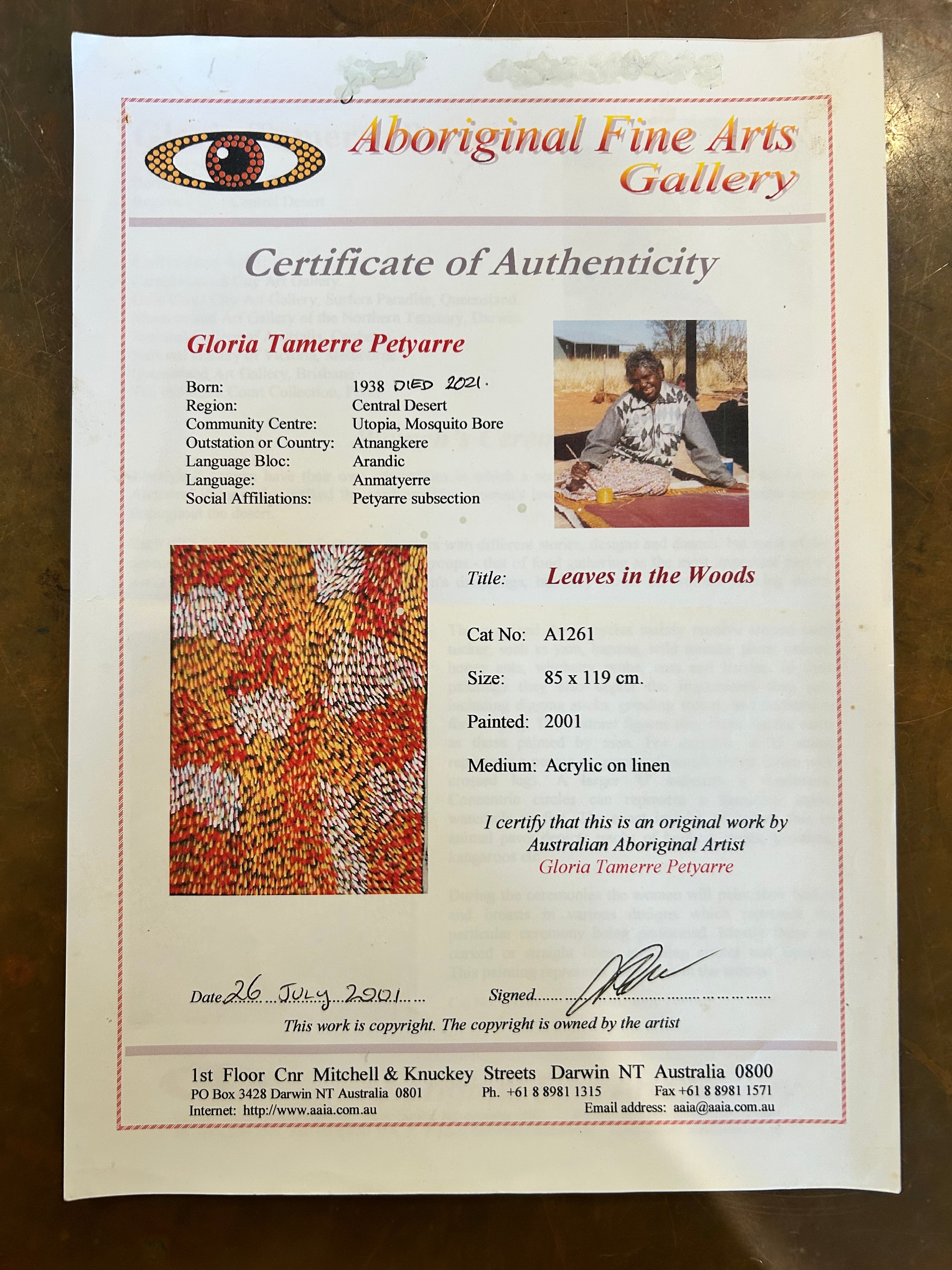 'Leaves in the woods' Gloria Tamerre Petyarre Original Painting