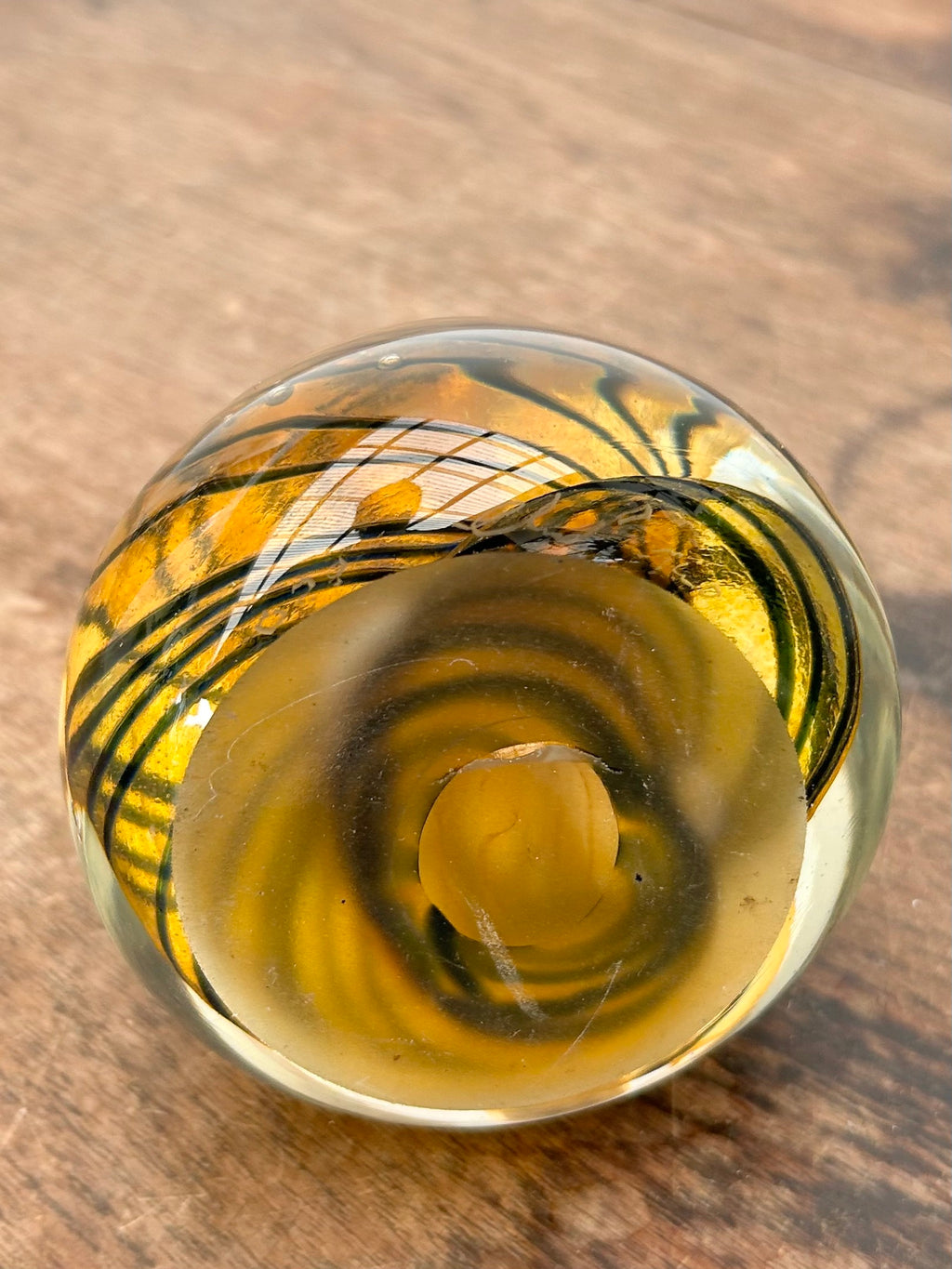 Chris Pantano Art Glass Paperweight 01