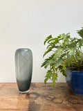 Decorative glass vase on a wooden surface with a plant in the background