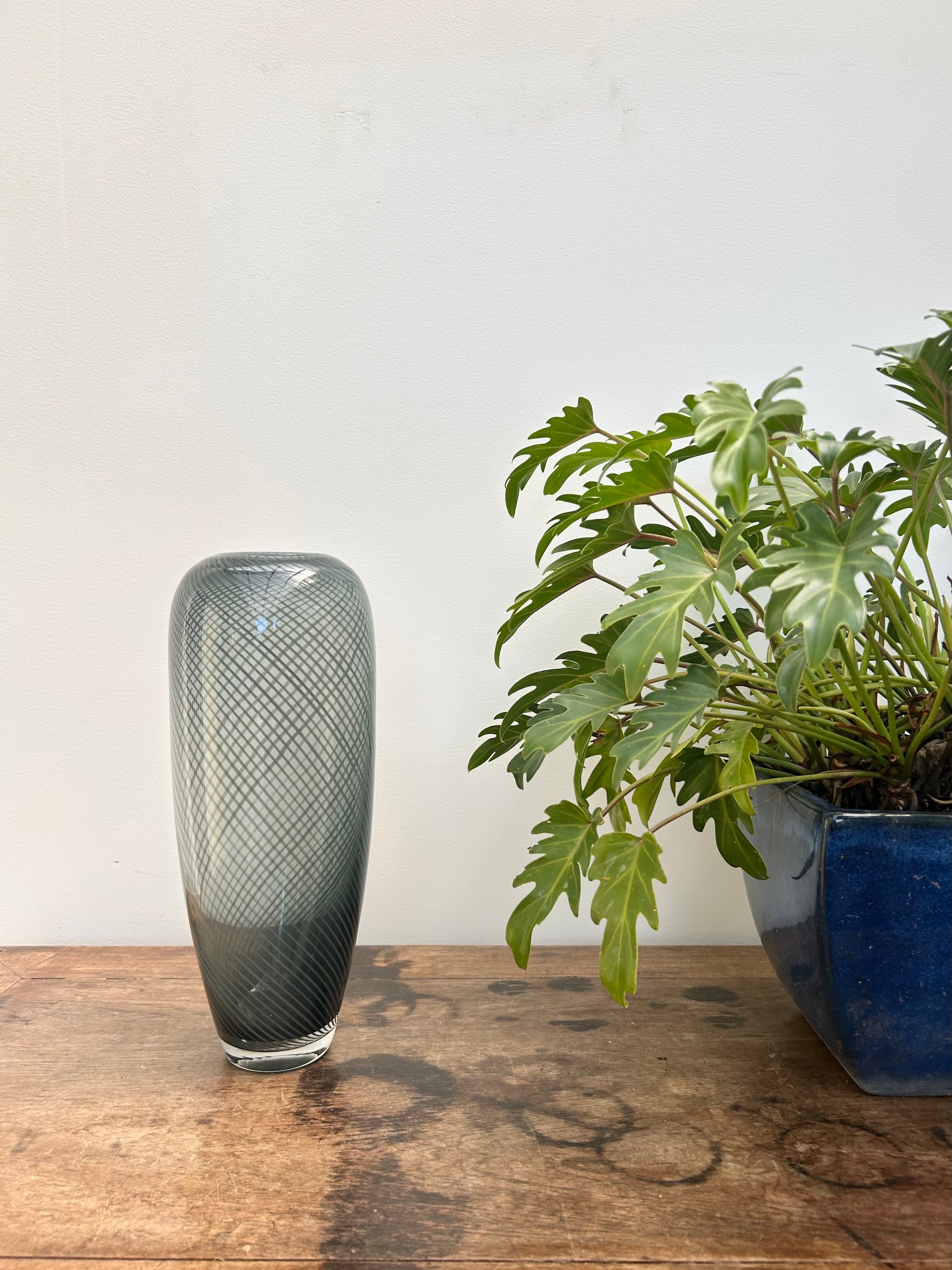 Decorative glass vase on a wooden surface with a plant in the background